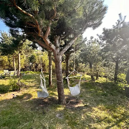 Magical View Over Aarhus Bay Casa vacanze *